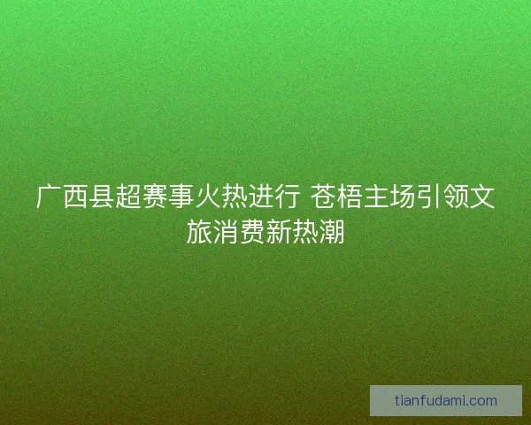 广西县超赛事火热进行 苍梧主场引领文旅消费新热潮 广西县超赛事火热进行 苍梧主场引领文旅消费新热潮